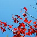 이의초등학교 이미지