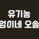 부엉이 농장 이미지