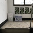 크리미데이지