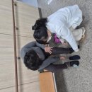 강진신발 이미지