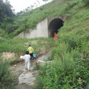 서삼농장 이미지