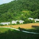 오탄농장 이미지