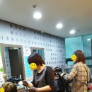 퀸즈헤나염색