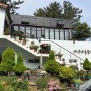 마리네 동물병원 이미지