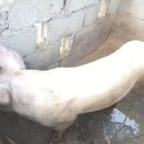 방주농장 이미지