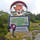 고동주유소 Daum카페
