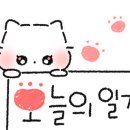 고성메밀이야