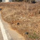 토지공장전문공인중개사사무소 이미지
