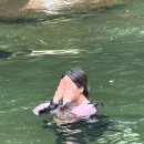 포석정 화장실 이미지