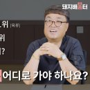 은하양돈 이미지