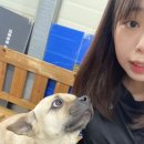 홍 - 창원시 성산구 중앙대로 75 | 홍