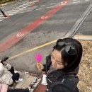 황학교 | 2026 서울 동아 마라톤 실시간 위치 추적 사이트 2곳 직접 사용해 본 후기 - 체커, 동마라이브