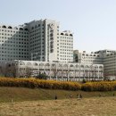 수수께끼 이미지