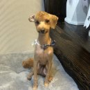 살롱3039 이미지