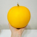 오남매농장 이미지