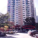 분당-204 이미지