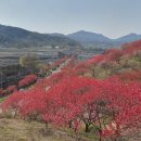 원동리 마을회관 이미지