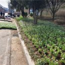 월미공원 안내소 화장실 이미지