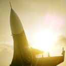 에이스 소프트 이미지