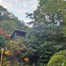 평동로 | 충북_제천) 가을 제천 단풍여행 포레스트 리솜_포레스트 S25 느루길 12동 1호 내돈내산 재방문 후기