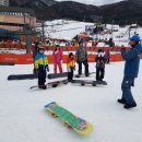 충의합기도 이미지