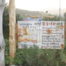 꽃송아리 이미지