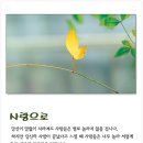 사랑으로 이미지