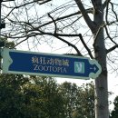 나무늘보,요정 | 상해 디즈니랜드 1인 2인 얼리버드티켓 구매링크 제일 저렴하게 구매하는 방법 굿즈 일루미네이션