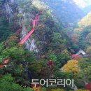 (주)예투어 이미지