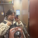 구영 고양이 무마취 미용 | 울산 고양이 무마취 미용 내돈내산 후기 재방문