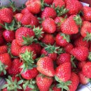 준원농장 이미지