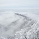 춘천야식