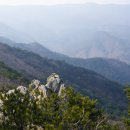 제왕산(帝王山839.5m).만종봉(晩鐘峯582m).오봉산(五峰山540.4m)/강원 강릉 이미지