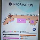 카프랜즈 | 청주 제주공항 티웨이 TW837 TW842 프렌즈렌트카 후기