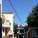 아이펫살롱 이미지