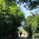 자연담은 하늘수 이미지