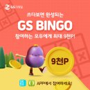 빙고샵 - 유성구 관들5길 29 | 빙고샵