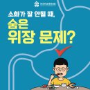 마디마디튼튼한의원 이미지