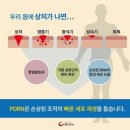 지정화장품