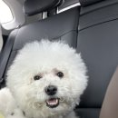 레인바우 이미지