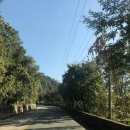 운주목장 이미지