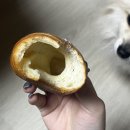 바니스픽 이미지