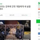 다경다감