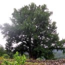 운곡보건진료소 이미지