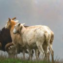 관저2동주민센터 이미지