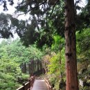 흙집우드 이미지