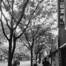 사주명리학(중급/저녁) 이미지