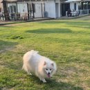 태평양온누리약국 이미지