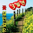 꽃길 이미지