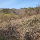 죽산리경로당 이미지